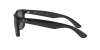 RB4165 Justin Sunglasses