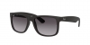 RB4165 Justin Sunglasses