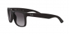 RB4165 Justin Sunglasses