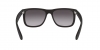 RB4165 Justin Sunglasses