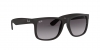 RB4165 Justin Sunglasses