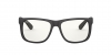 RB4165 Justin Sunglasses