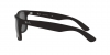 RB4165 Justin Sunglasses