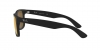 RB4165 Justin Sunglasses