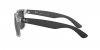 RB4165 Justin Sunglasses