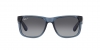 RB4165 Justin Sunglasses