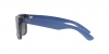 RB4165 Justin Sunglasses