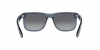 RB4165 Justin Sunglasses