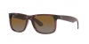 RB4165 Justin Sunglasses