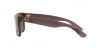 RB4165 Justin Sunglasses