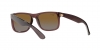RB4165 Justin Sunglasses