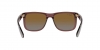 RB4165 Justin Sunglasses