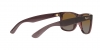 RB4165 Justin Sunglasses