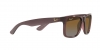 RB4165 Justin Sunglasses