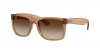 RB4165 Justin Sunglasses