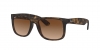 RB4165 Justin Sunglasses