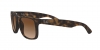 RB4165 Justin Sunglasses