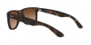 RB4165 Justin Sunglasses