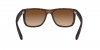 RB4165 Justin Sunglasses