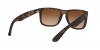RB4165 Justin Sunglasses