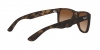 RB4165 Justin Sunglasses