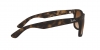 RB4165 Justin Sunglasses