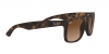 RB4165 Justin Sunglasses
