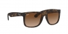 RB4165 Justin Sunglasses