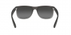 RB4165 Justin Sunglasses