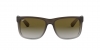 RB4165 Justin Sunglasses