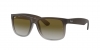 RB4165 Justin Sunglasses