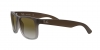 RB4165 Justin Sunglasses