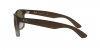 RB4165 Justin Sunglasses