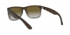 RB4165 Justin Sunglasses