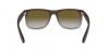 RB4165 Justin Sunglasses
