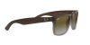 RB4165 Justin Sunglasses