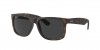 RB4165 Justin Sunglasses