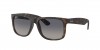 RB4165 Justin Sunglasses