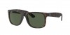 RB4165 Justin Sunglasses