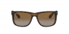 RB4165 Justin Sunglasses