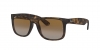 RB4165 Justin Sunglasses