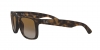 RB4165 Justin Sunglasses