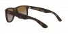 RB4165 Justin Sunglasses