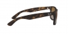 RB4165 Justin Sunglasses