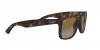 RB4165 Justin Sunglasses
