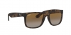 RB4165 Justin Sunglasses