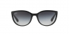 RB4165L Justin Sunglasses