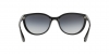 RB4165L Justin Sunglasses