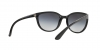 RB4165L Justin Sunglasses