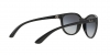 RB4165L Justin Sunglasses